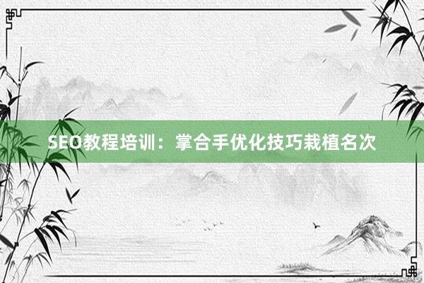SEO教程培训:掌合手优化技巧栽植名次