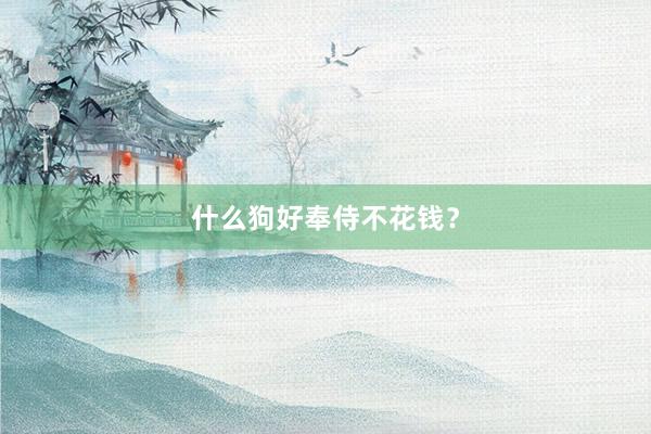 什么狗好奉侍不花钱？