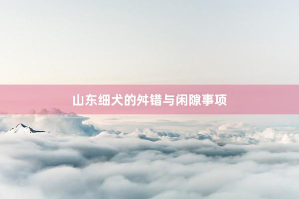 山东细犬的舛错与闲隙事项